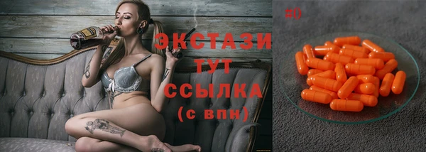 стаф Богородицк