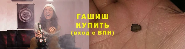 индика Белокуриха