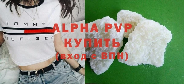 стаф Богородицк