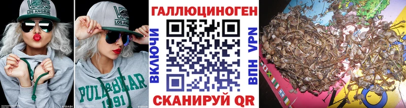 Галлюциногенные грибы ЛСД  blacksprut маркетплейс  Катав-Ивановск 